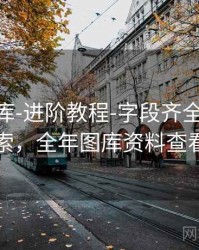 0149图库-进阶教程-字段齐全-快速检索，全年图库资料查看