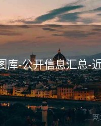 118图库-公开信息汇总-近百期