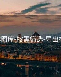 118图库-按需筛选-导出模板