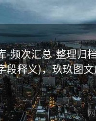 玖玖图库-频次汇总-整理归档-信息中心(字段释义)，玖玖图文广告