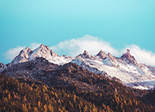 118图库-概率科普-多维筛选-精准定位(含规则要点)